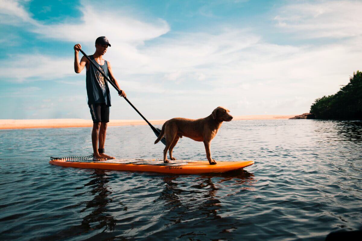how to choose your first paddle board